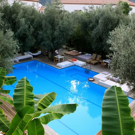 מלון Oyster Residences - Adult Only 3*