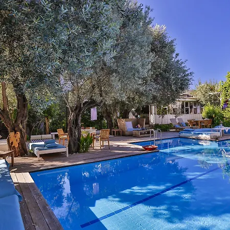 Oyster Residences - Adult Only מלון אולודניץ